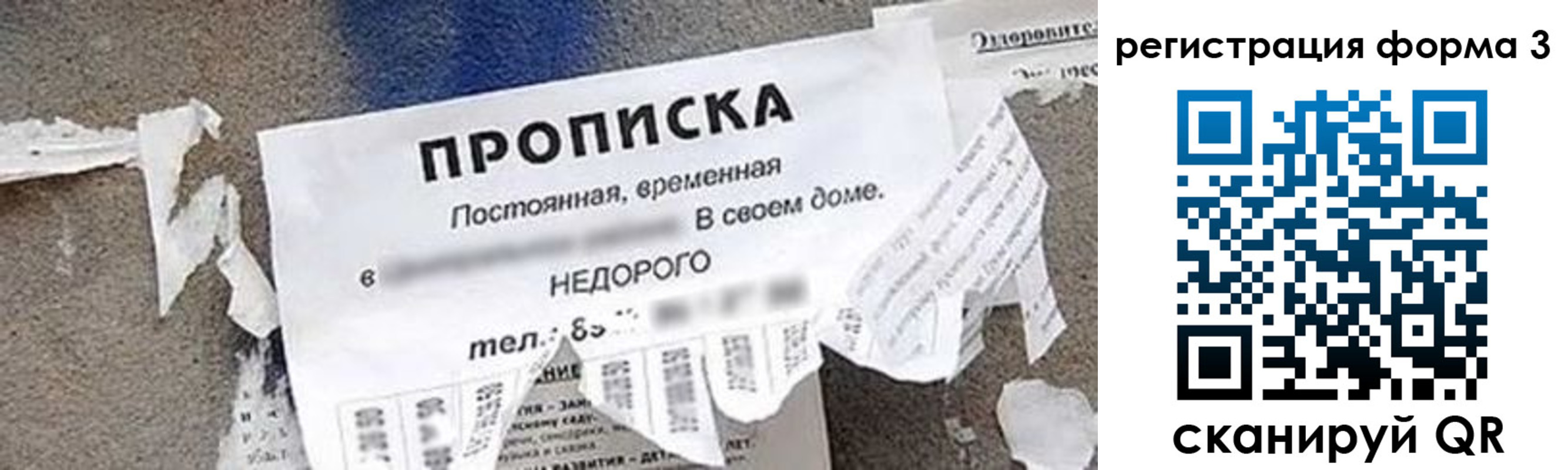 прописка 2025 в Новосибирской области